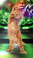 Dancing and Singing Funny Pets 스크린샷 2