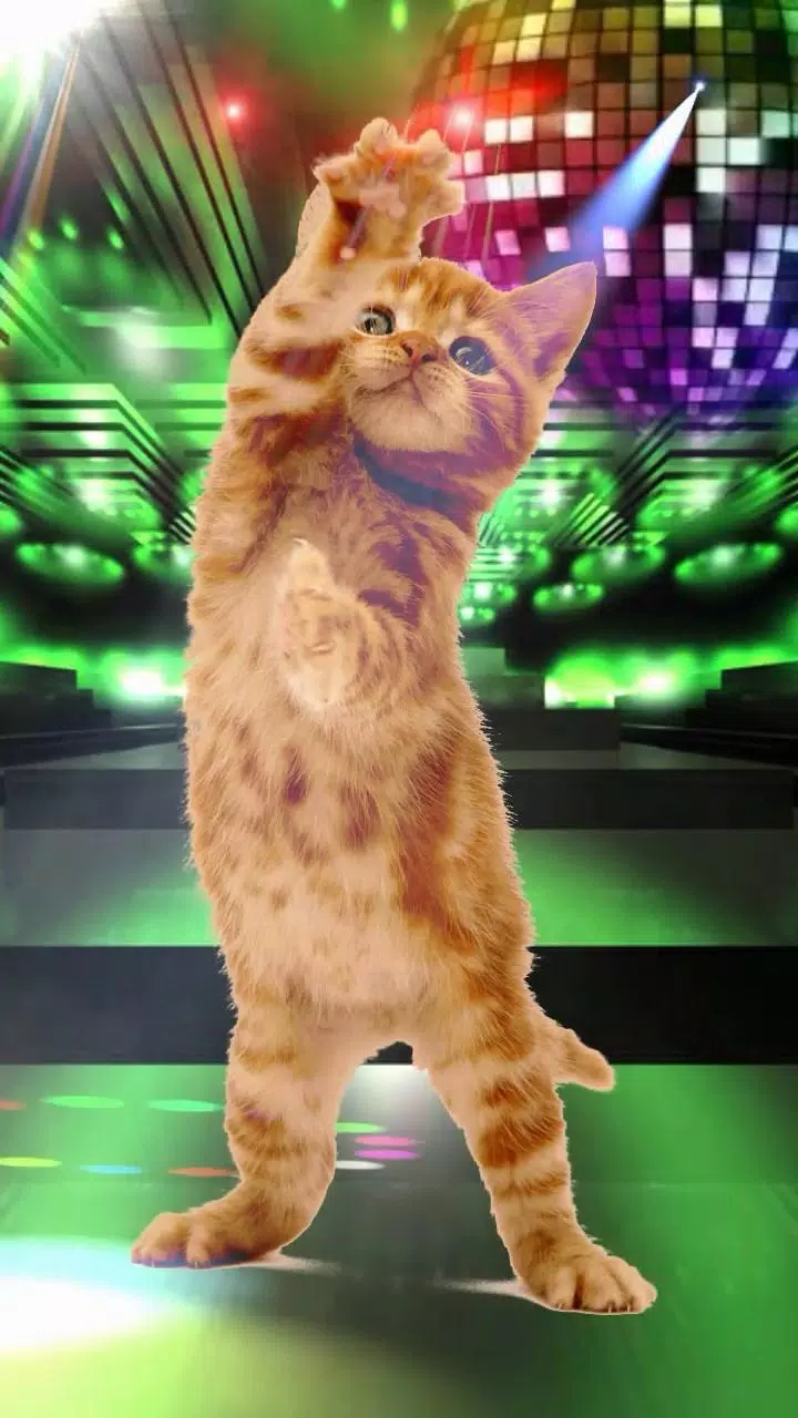 Dancing and Singing Funny Pets APK for Android Download Dancing and Singing Funny Pets APK for Android Download