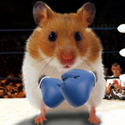 Drôle Hamster Ecran Fissuré icône