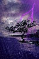 閃電，雷暴，高清直播壁紙 截圖 1