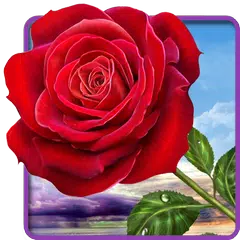 Rose. Magic Touch Flowers APK download