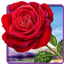 Rosa. Toque mágico flores APK