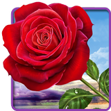 Rosa, toque mágico flores icono