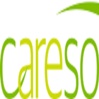 C1 Careso Team icône
