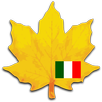 Learn italian widget APK