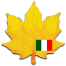 Learn italian widget APK