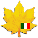 Learn italian widget