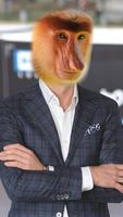 Janusz پوسٹر