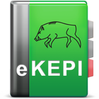 eKEPI 圖標