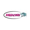 Barracuda Dębica
