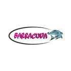 Barracuda Dębica آئیکن