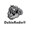 DzikieRadio®
