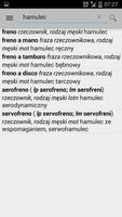 Słownik włoski OFFLINE скриншот 3