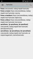 Słownik włoski OFFLINE Ekran Görüntüsü 3