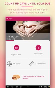 My Pregnancy 截图 7