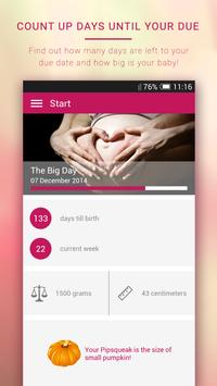 My Pregnancy 海报