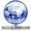 APK Show My IP