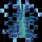 Chest X-Ray Interpretation-icoon