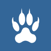 Rysiek antyradar, kamera APK