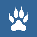 Rysiek antyradar, kamera APK