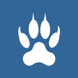 Rysiek antyradar, kamera