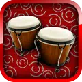 Best Bongos