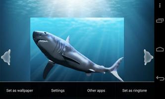 Best Sea Dinosaurs স্ক্রিনশট 1