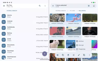 download Solid Explorer Gestore File XAPK
