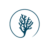 CORAL - Monitoring Środowiska APK