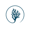 CORAL - Monitoring Środowiska