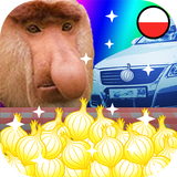 Postaw na Passat icon