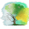 Nature APK