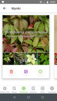 Atlas roślin:rozpoznaj offline screenshot 2