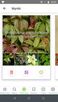 Atlas roślin:rozpoznaj offline स्क्रीनशॉट 2