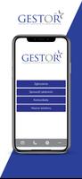 Gestor screenshot 1
