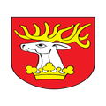 ePowiatLubelski