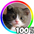 Cat Battery Widget