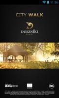 Poster Duszniki City Walk