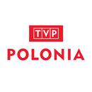 TVP Polonia APK