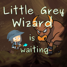 Little Grey Wizard Adventure ikona