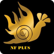 NF Plus