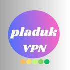 PLADUK VPN ikona