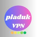 ”PLADUK VPN