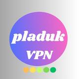 PLADUK VPN Zeichen