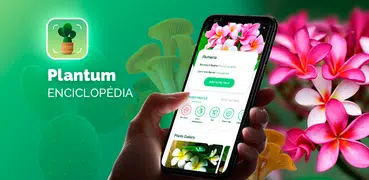 Plantum - Identificar plantas