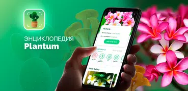 Plantum・Распознавание растений