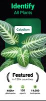 Plantum الملصق