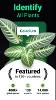 Plantum poster