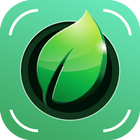 Plant Identification icon