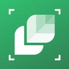 LeafSnap 图标